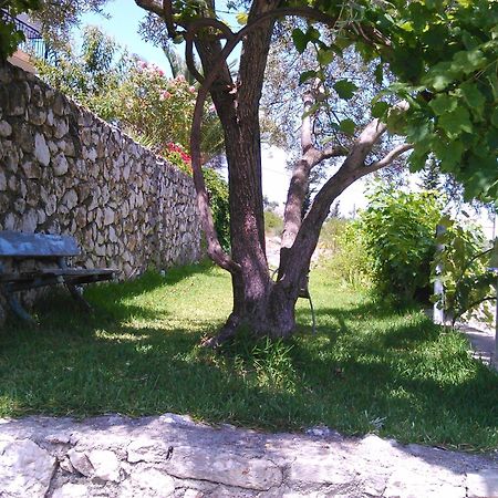 Pansion Laertes Daire Tsoukaládhes Dış mekan fotoğraf