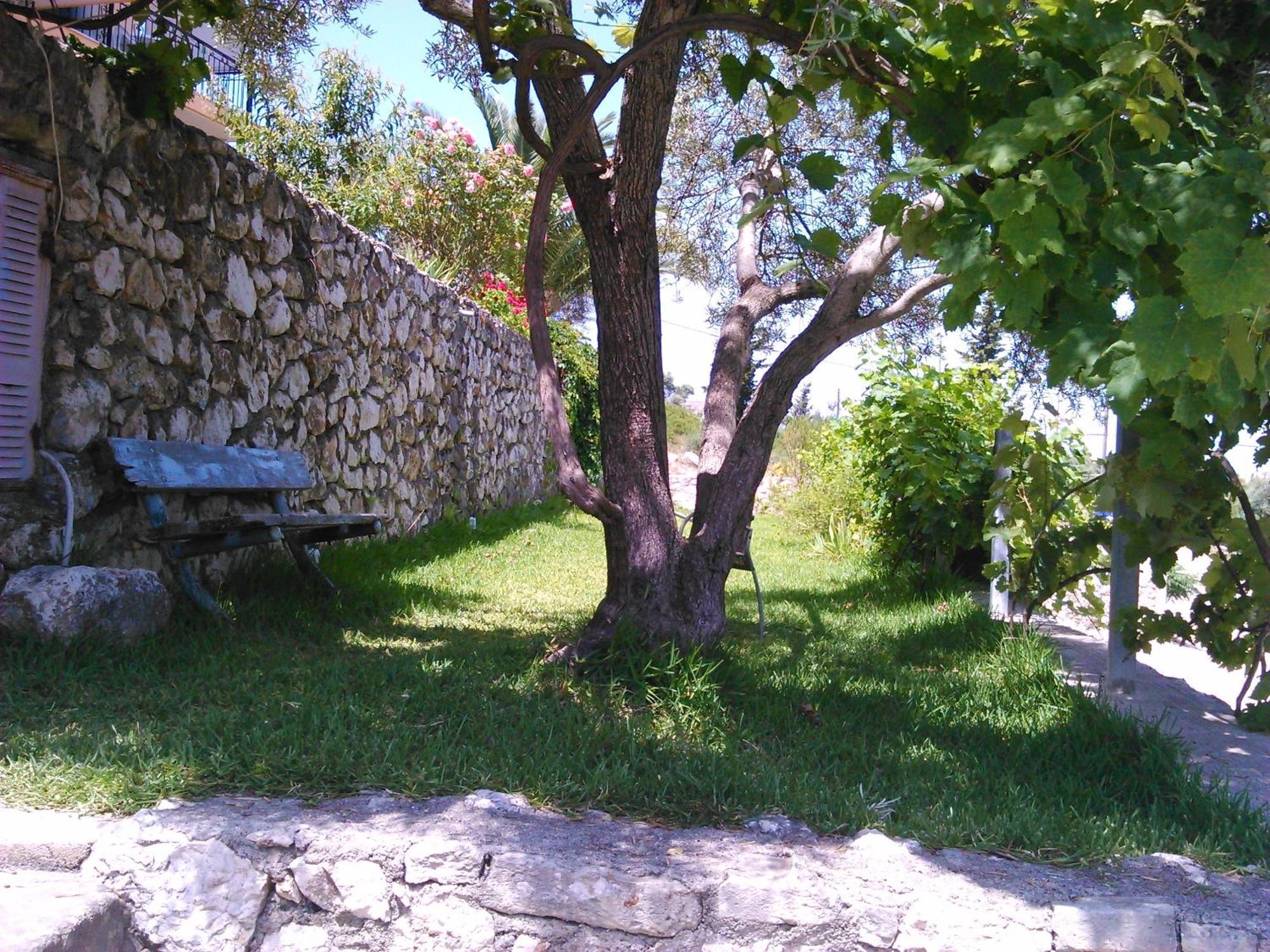Pansion Laertes Daire Tsoukaládhes Dış mekan fotoğraf